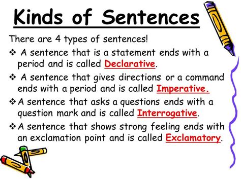 Four Types Of Sentences Grammar Quizizz