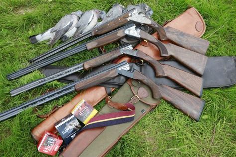 What's the right shotgun bore for you? - Shooting UK