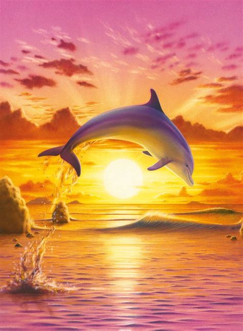 Dolphins Jumping Out Of The Water At Sunset Drawings