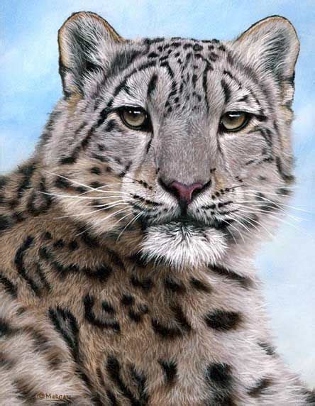 Snow Leopard By My Favorite Artist Jason Morgan Tiergemälde
