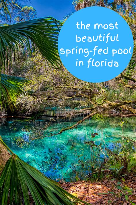 The Most Beautiful Springs Fed Pools In Florida