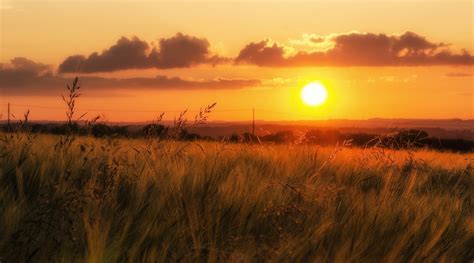 Beautiful Nature Grass Sunset Field Sky Wallpapers Hd Desktop And Mobile Backgrounds
