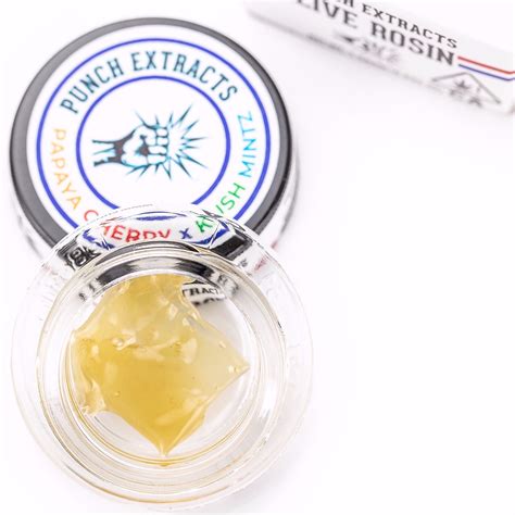 Punch: Papaya Cherry x Kush Mintz Live Rosin Tier 4 Live Rosin Fresh