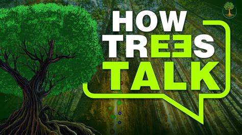 How Trees Talk Sustainable Human
