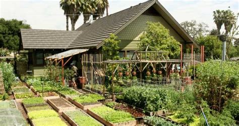Memiliki pekarangan rumah yang indah mungkin menjadi idaman beberapa orang. 65+ Gambar Pekarangan Rumah Yang Indah Terbaik - Koleksi ...