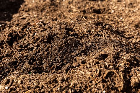 6 Methods For Increasing Soil Acidity