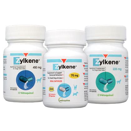 Zylkene may help your dog or cat overcome stress issues such as improper urination, separation anxiety, and destructive behavior. Zylkene | Anxiety Medication for Cats and Dogs - 1800PetMeds