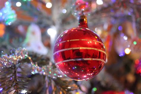 무료 이미지 자연 크리스마스 장식 행사 휴일 축제 크리스마스 조명 전통 크리스마스 트리 나무 반짝임 마젠타