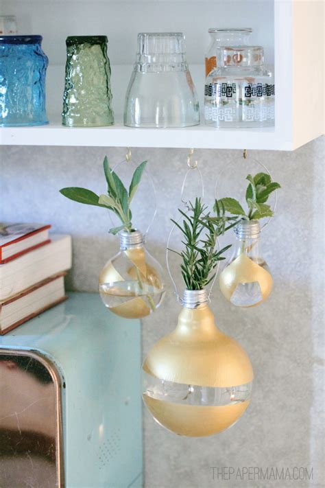 Hanging Lightbulb Herb Vase