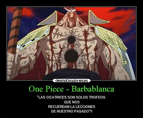 One Piece Barbablanca Desmotivaciones