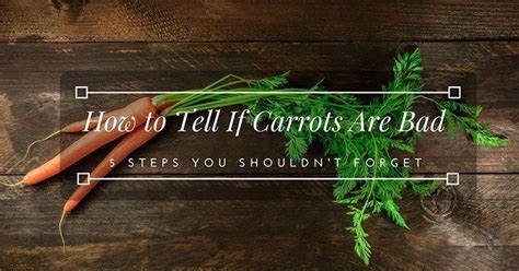 Cactus thorns could be grouped into two, depending on their sizes. How to Tell If Carrots Are Bad: 5 Steps You Shouldn't ...