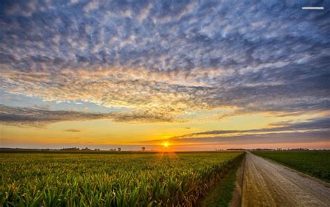 Amazing Field Sunset Wallpapers Wallpaper Cave