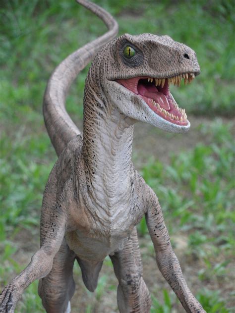 Velociraptor Smile By Yankeetrex On Deviantart
