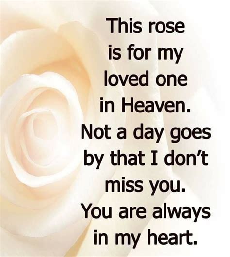 This Rose Is For My Loved One In Heaven Pictures Photos And Images
