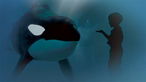 Watch Keiko The Untold Story Of The Star Of Free Willy Prime Video