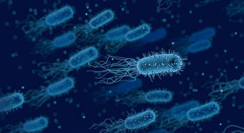 Superbug Killer Developed Nanotech Destroys Dangerous Bacteria And
