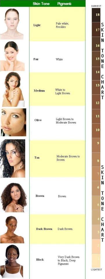 Skin Tones N Human Skin Colours Range From Palest W Tumbex