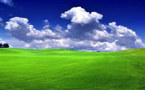 Green Field Hd Desktop Wallpapers Free Download Nature