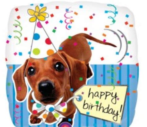 Dog Birthday Wishes Happy Birthday Dachshund Happy Birthday Puppy