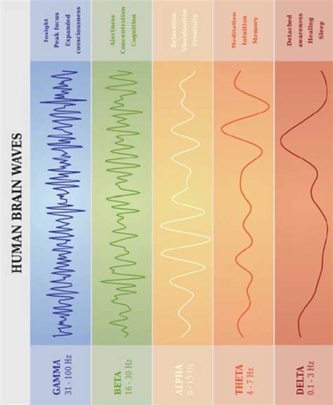 Human Brain Waves And Music Musical Reflections