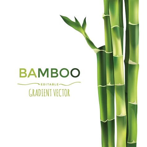 Ilustraci N De Vector De Bamb Vector Premium