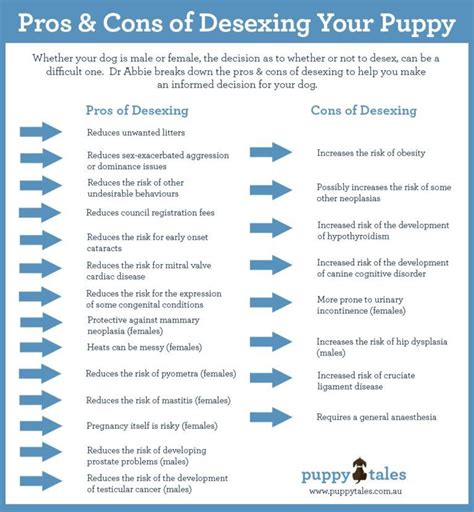 Desexing The Pros And Cons Veterinary Advise To Help You Make The Right Decision For Your