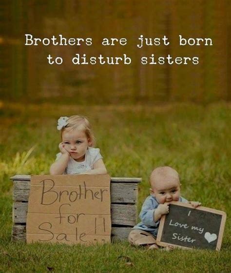 Best Brother Quotes And Sibling Sayings Siblings Funny Quotes Best