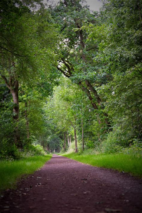 Auch parkplätze und eine abschließbare garage, sowohl für autos als auch für fahrräder, stehen unseren. Ostfriesland Wanderweg | Wanderweg, Ostfriesland, Wandern