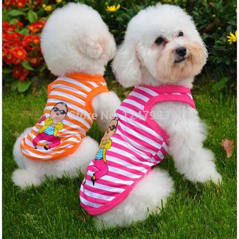 Compare Prices On Dogs Bichon Frise Online Shoppingbuy