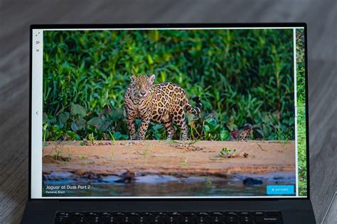 Dell Xps 17 Exclusive Hands On Review Colby Brown Photography