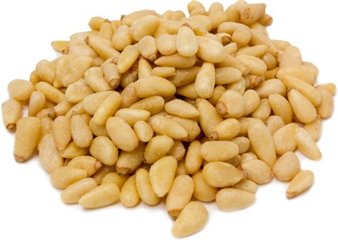 Buy Pine Seed Nuts Piping Rock Health Products