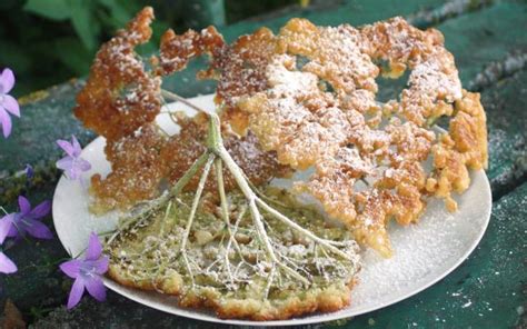Beignets De Fleurs De Sureau En Fleur De Sureau Sureau Beignets
