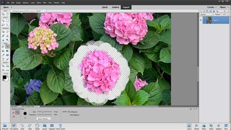 Remove Background Photoshop 2023 Latest Tips And Tricks