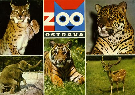 From 1973 to 2000 the largest subspecies of kodiak resided in the zoo. Les Zoos dans le Monde - Zoo Ostrava