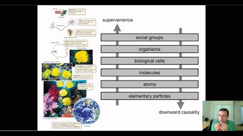 Systems Biology And Emergent Properties Advanced Youtube