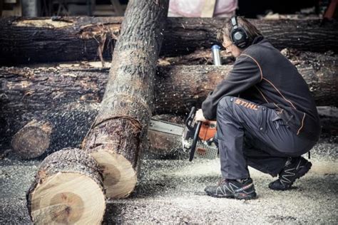 Powered by a high torque engine, its this keeps the fuel/air ratio in the combustion mixture constant and hence also the engine power. The Right Fuel Mix Ratio for Stihl Chainsaws | Stihl ...
