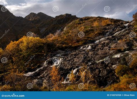 Beautiful Waterfalls In Autumn Colors Located In Lofoten Norway