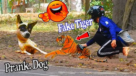 Fake Tiger Prank Dog Very Funny Try Not To Laugh For This Dog Prank