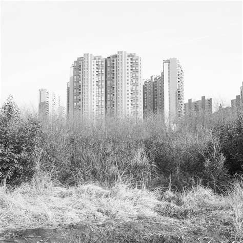 Shadman Shahid - White Elephant - 1854 Photography