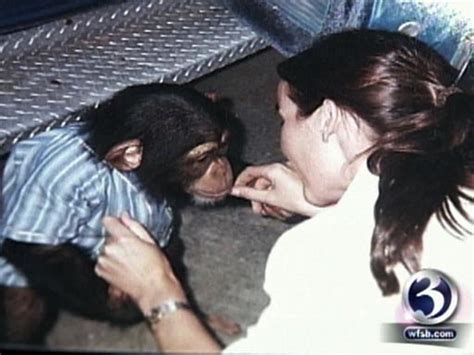 chimp victim charla nash photo 1 cbs news