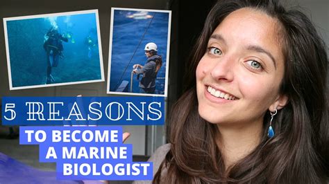 💌 Why I Want To Be A Marine Biologist Essay Why I Want To Become A