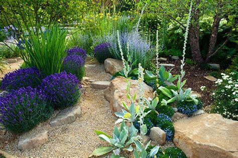 Xeriscaping Drought Proof Landscape Design Fivestar Landscape