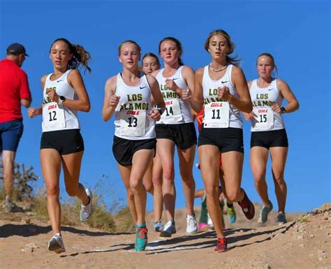 Lahs Cross Country Is Perfect At District Championship