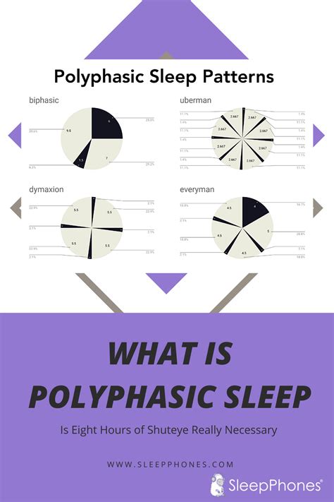 What Is Polyphasic Sleep Sleep Pattern Sleep Segmentation