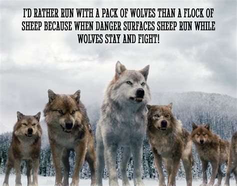 Pin by Jeff Umberger on For the Gentleman Warrior | Twilight wolf