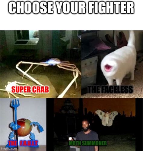 Choose Your Fighter Meme Choose Your Fighter
