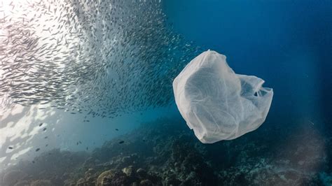Tackling The Global Plastic Pollution Crisis Through A Circular Economy