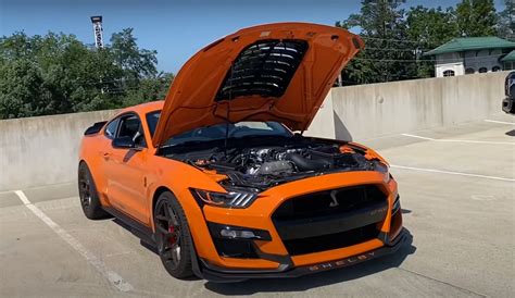 First Nitrous 2020 Shelby Gt500 Takes On C7 Corvette Zr1 Video