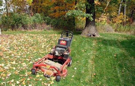 Fall Lawn Care Tips For Corpus Christi Tx