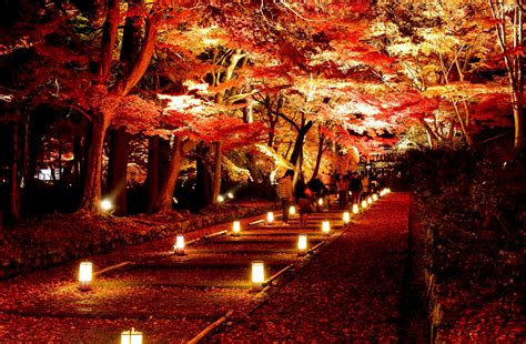 Enjoy Beautiful Light Up At Kyotos Temples At Night Kyoto Travel